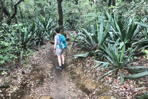 La Cangreja Waterfall trail at Rincon de la Vieja National Park, Guanacaste, Costa Rica