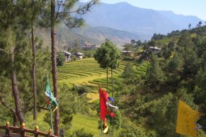 Punakha Valley. Image by Mr & Mrs Stallion