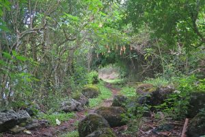 Walk to Asilo de la Paz Floreana Island