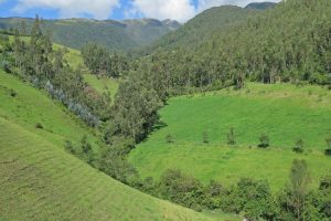 Walking to Otavalo, Ecuador