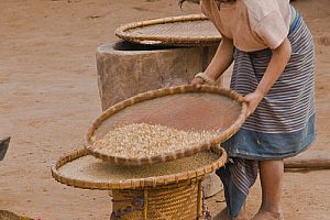 Local girl preparing grain