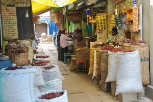 Gentle walking wildlife kerala Madurai store