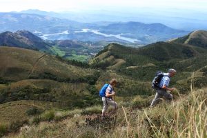 Gentle walking wildlife kerala Meesapulimala walk Munnar