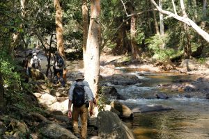 Gentle walking wildlife kerala walking Chinnar