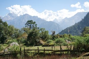 Views of Timang on trek. Image by J Davies