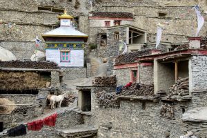 Phu Village Buildings. Image by J Davies