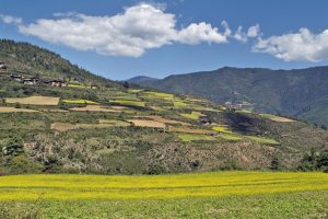 Views of the verdant Haa Valley