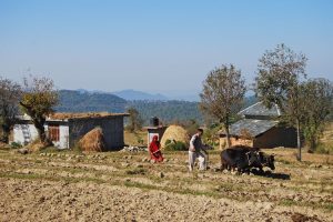 Bir Valley farmers. Image by M Doyle