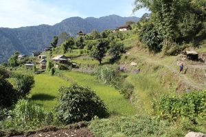 Village on trek. Image by J Fitzpatrick