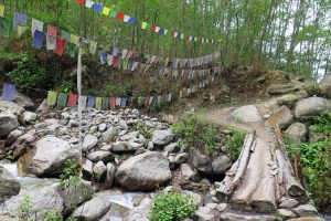 Walking in the Langtang region