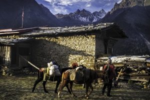 Laya village. Image by N McCooke