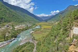 Paro River. Image by H Cashdan