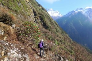 Trekking to Yangle Kharka. Image by N Morgan