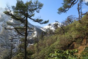 Scenery above Langmale. Image by N Morgan