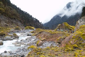 On trek, Dudh Kosi (Milk River). Image by J Hughes