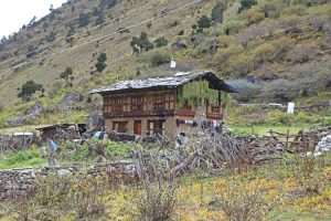 Bhutanese house en route to Janothang