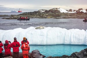 Antarctic wildlife - Leopard seal