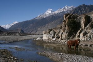 En route to Jomsom, trekking in the Mustang region