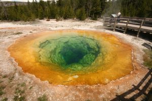 Morning Glory Pool, Yellowstone NP