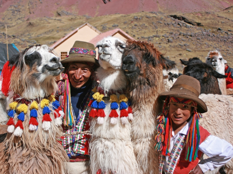 Lama porters