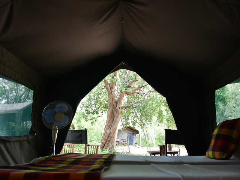 Tent interior