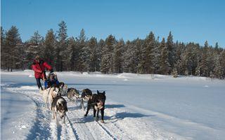 Spend Christmas in Princess Elsa and Anna's World from the Disney Movie Frozen