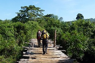 Cardamom Mountains Trails