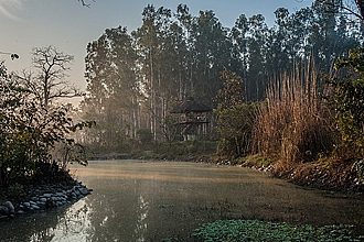 Corbett national park india