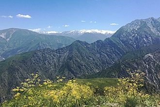 Silk Road Mountains & Monuments, Uzbekistan