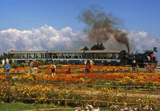 Ride on a 'Toy Train'