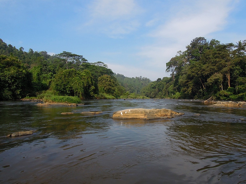 Raft the rapids