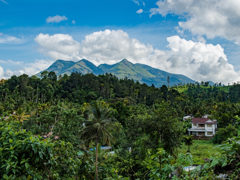 Stay in a coffee plantation on the Western Ghats